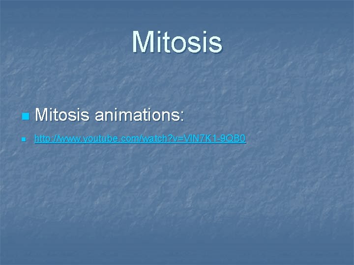 Mitosis n Mitosis animations: n http: //www. youtube. com/watch? v=Vl. N 7 K 1