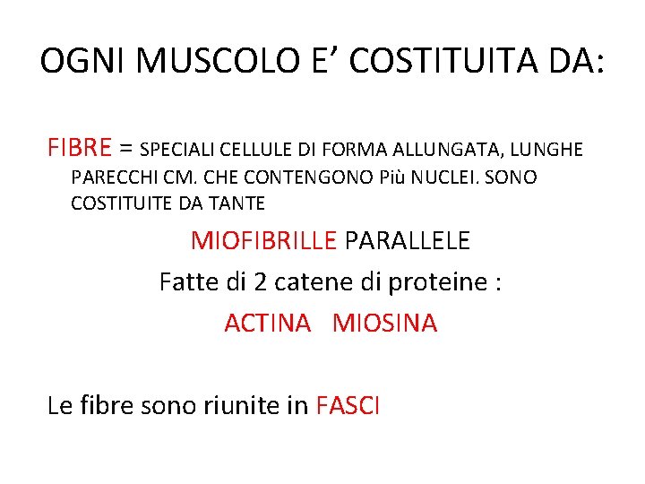 OGNI MUSCOLO E’ COSTITUITA DA: FIBRE = SPECIALI CELLULE DI FORMA ALLUNGATA, LUNGHE PARECCHI