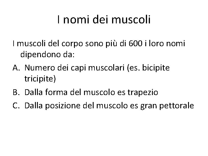 I nomi dei muscoli I muscoli del corpo sono più di 600 i loro