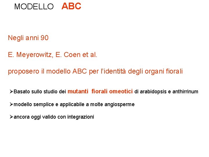 MODELLO ABC Negli anni 90 E. Meyerowitz, E. Coen et al. proposero il modello