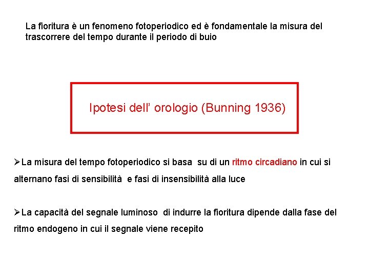 La fioritura è un fenomeno fotoperiodico ed è fondamentale la misura del trascorrere del