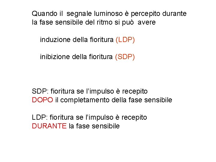 Quando il segnale luminoso è percepito durante la fase sensibile del ritmo si può