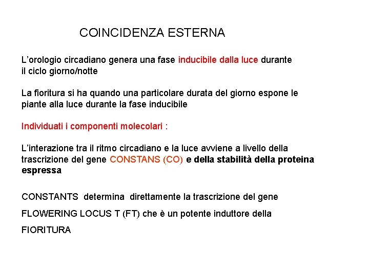 COINCIDENZA ESTERNA L’orologio circadiano genera una fase inducibile dalla luce durante il ciclo giorno/notte