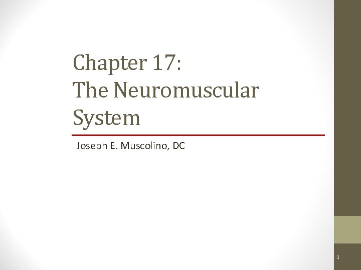 Chapter 17: The Neuromuscular System Joseph E. Muscolino, DC Copyright © 2011, 2007 by