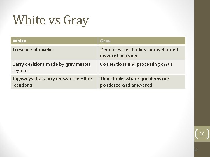 White vs Gray White Gray Presence of myelin Dendrites, cell bodies, unmyelinated axons of