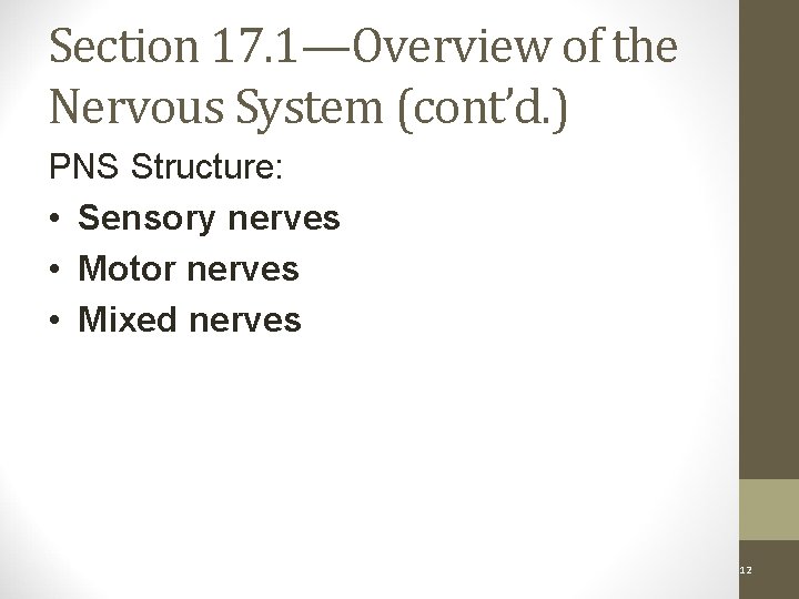 Section 17. 1—Overview of the Nervous System (cont’d. ) PNS Structure: • Sensory nerves