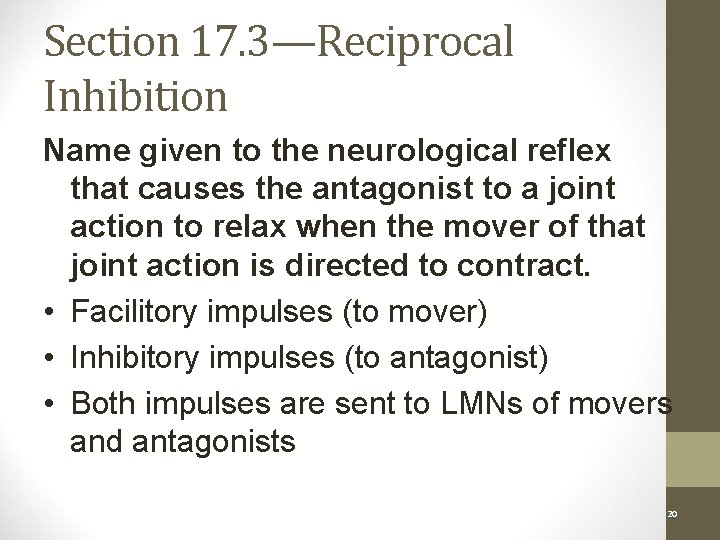 Section 17. 3—Reciprocal Inhibition Name given to the neurological reflex that causes the antagonist