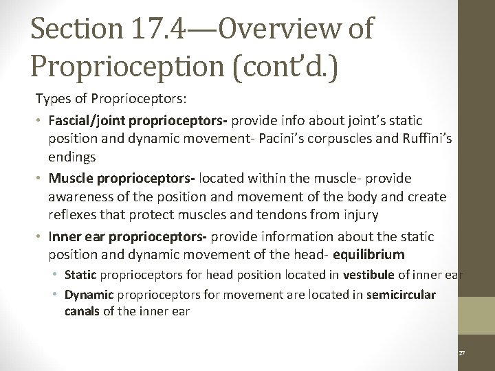 Section 17. 4—Overview of Proprioception (cont’d. ) Types of Proprioceptors: • Fascial/joint proprioceptors- provide