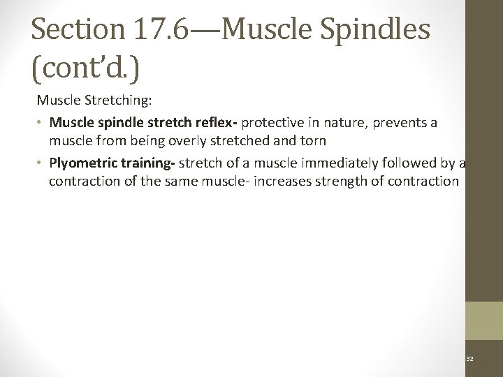 Section 17. 6—Muscle Spindles (cont’d. ) Muscle Stretching: • Muscle spindle stretch reflex- protective