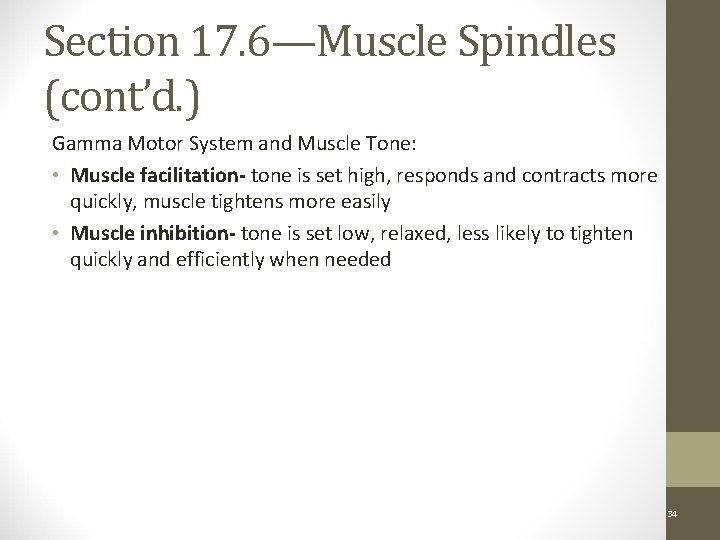 Section 17. 6—Muscle Spindles (cont’d. ) Gamma Motor System and Muscle Tone: • Muscle