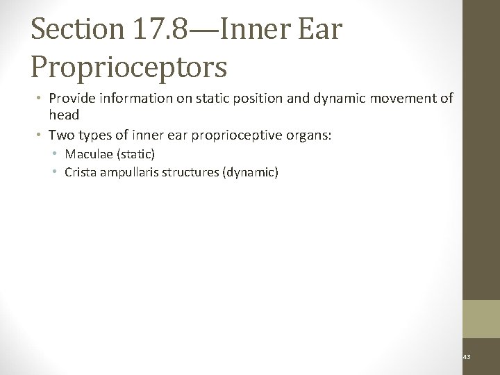 Section 17. 8—Inner Ear Proprioceptors • Provide information on static position and dynamic movement