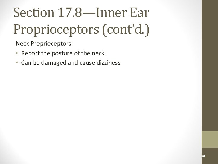 Section 17. 8—Inner Ear Proprioceptors (cont’d. ) Neck Proprioceptors: • Report the posture of