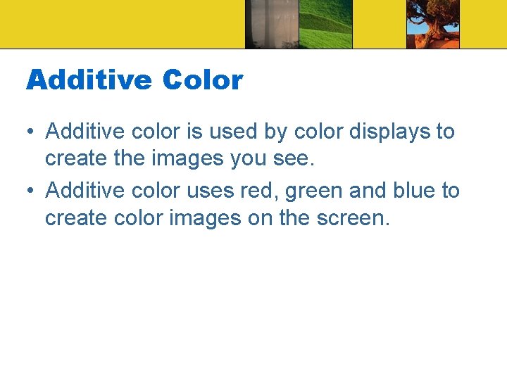 Printing Digital Images Two Ways to Obtain Prints