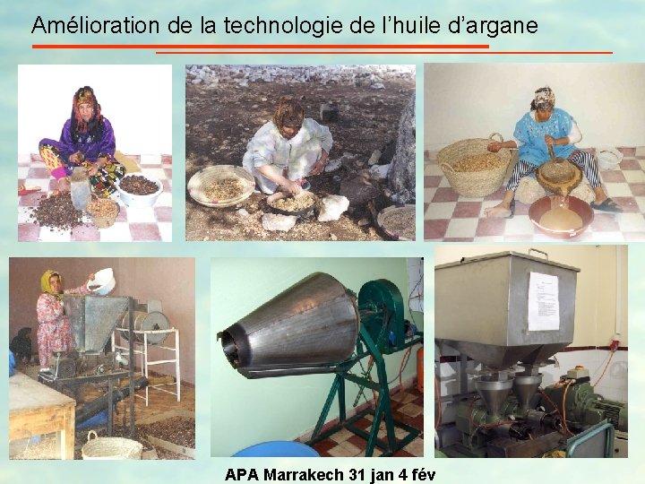 Amélioration de la technologie de l’huile d’argane Malaxage des amandes APA Marrakech 31 jan