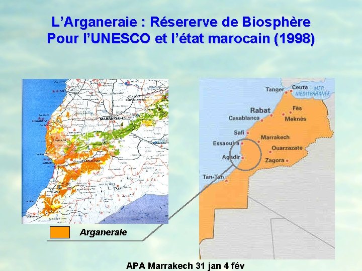 L’Arganeraie : Résererve de Biosphère Pour l’UNESCO et l’état marocain (1998) Arganeraie APA Marrakech
