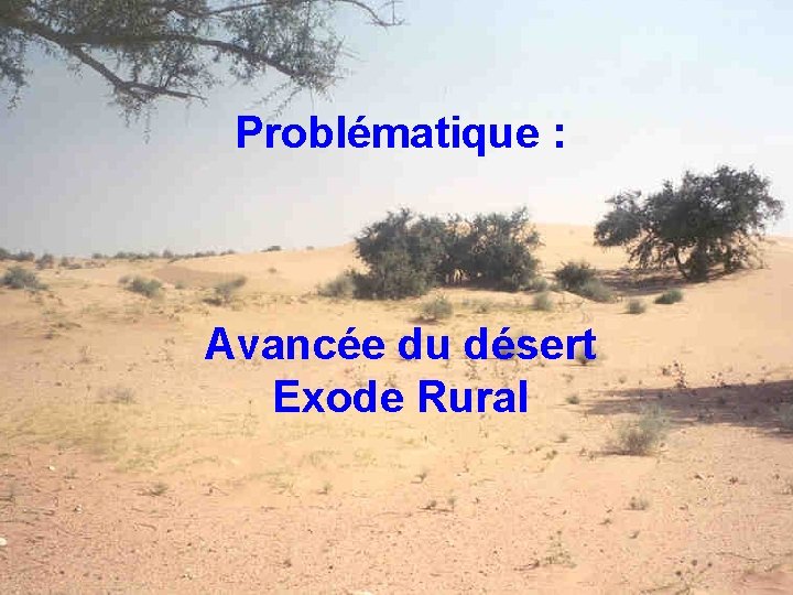 Problématique : Avancée du désert Exode Rural APA Marrakech 31 jan 4 fév 
