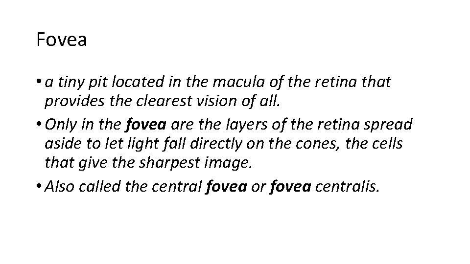 Fovea • a tiny pit located in the macula of the retina that provides