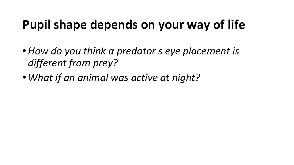 Pupil shape depends on your way of life • How do you think a