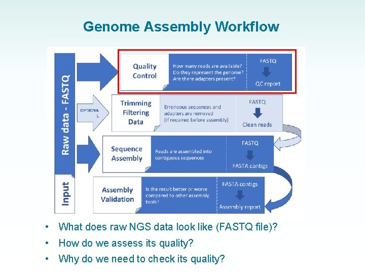Genome Assembly Workflow • What does raw NGS data look like (FASTQ file)? •
