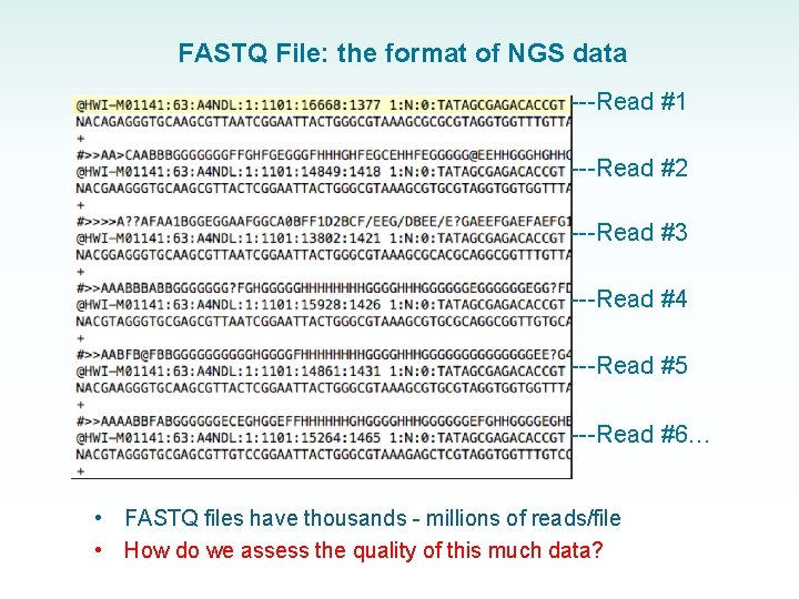 FASTQ File: the format of NGS data ---Read #1 ---Read #2 ---Read #3 ---Read