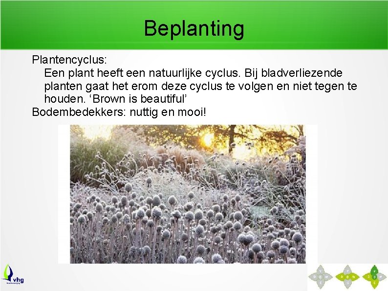 Beplanting Plantencyclus: Een plant heeft een natuurlijke cyclus. Bij bladverliezende planten gaat het erom