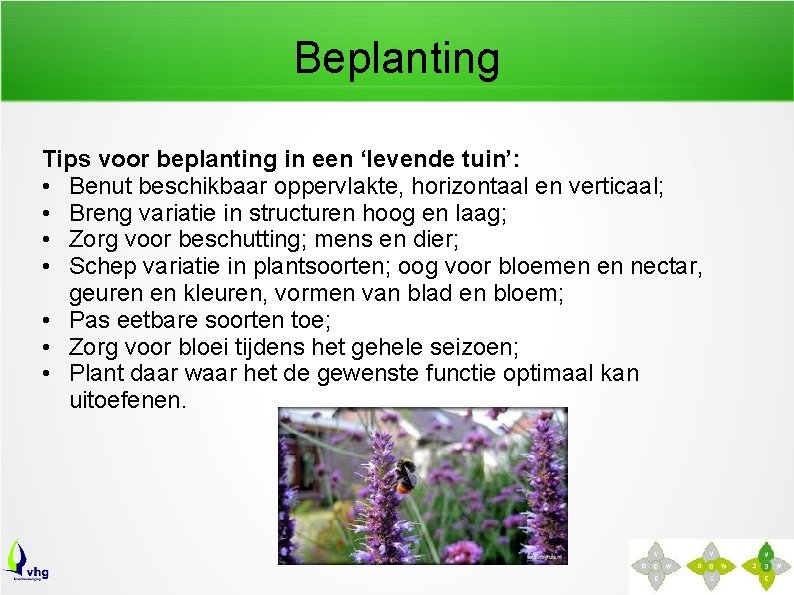 Beplanting Tips voor beplanting in een ‘levende tuin’: • Benut beschikbaar oppervlakte, horizontaal en