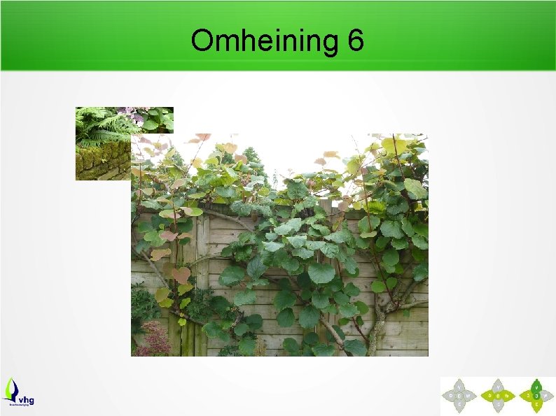 Omheining 6 