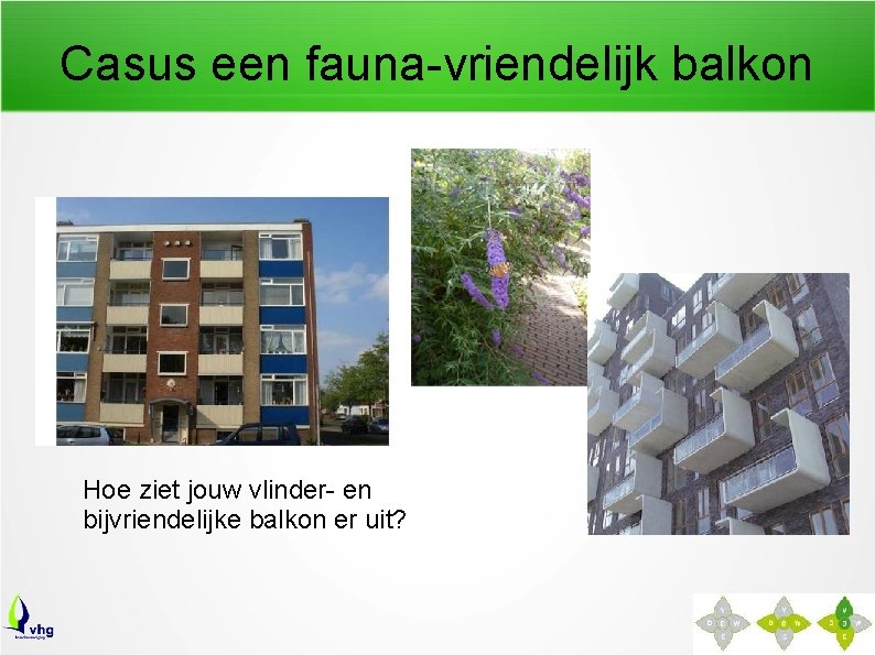 Casus een fauna-vriendelijk balkon Hoe ziet jouw vlinder- en bijvriendelijke balkon er uit? 