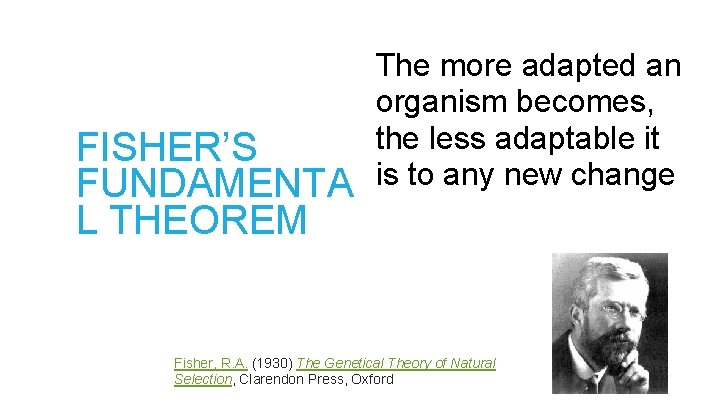 FISHER’S FUNDAMENTA L THEOREM The more adapted an organism becomes, the less adaptable it