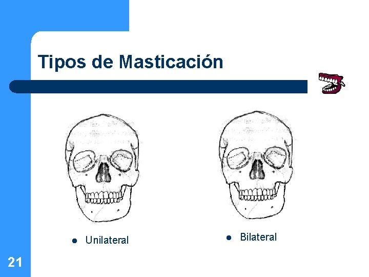 Tipos de Masticación l 21 Unilateral l Bilateral 