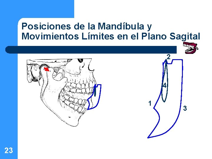 Posiciones de la Mandíbula y Movimientos Límites en el Plano Sagital 2 4 1