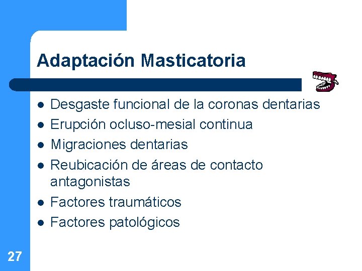 Adaptación Masticatoria l l l 27 Desgaste funcional de la coronas dentarias Erupción ocluso-mesial