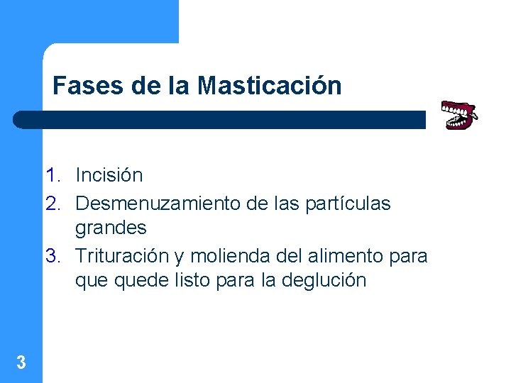 Fases de la Masticación 1. Incisión 2. Desmenuzamiento de las partículas grandes 3. Trituración