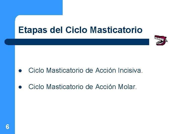 Etapas del Ciclo Masticatorio 6 l Ciclo Masticatorio de Acción Incisiva. l Ciclo Masticatorio