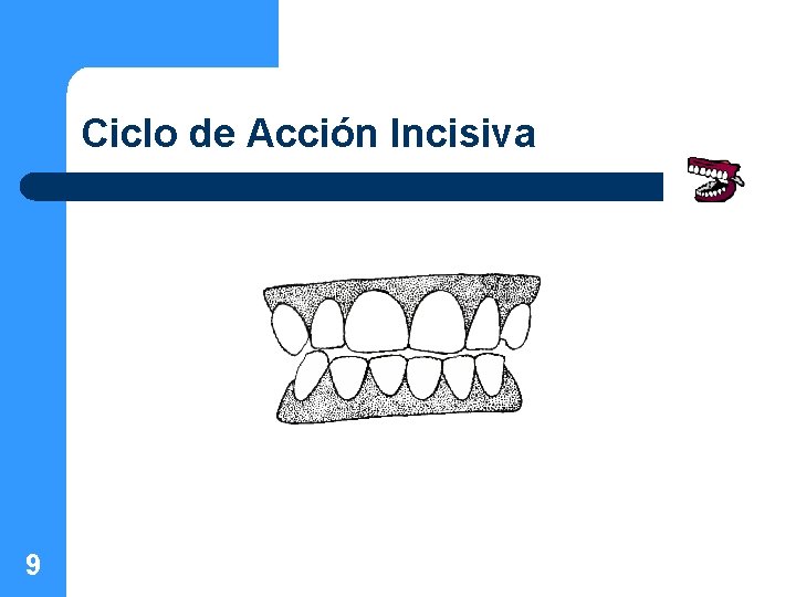 Ciclo de Acción Incisiva 9 