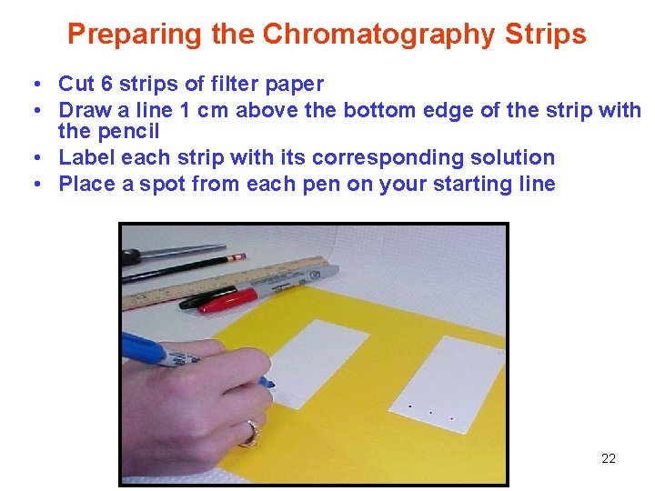 Preparing the Chromatography Strips • Cut 6 strips of filter paper • Draw a