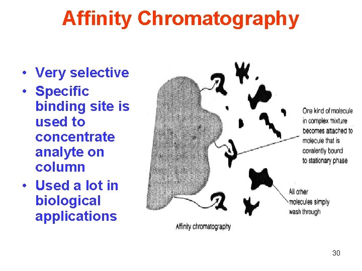 Affinity Chromatography • Very selective • Specific binding site is used to concentrate analyte Affinity Chromatography • Very selective • Specific binding site is used to concentrate analyte