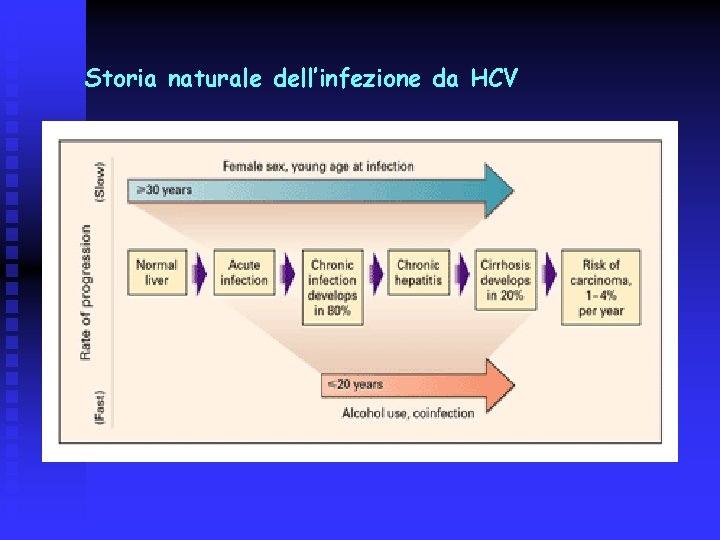 Storia naturale dell’infezione da HCV 