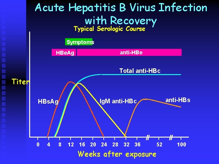 Acute Hepatitis B Virus Infection with Recovery Typical Serologic Course Symptoms HBe. Ag anti-HBe