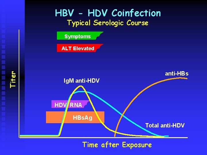 HBV - HDV Coinfection Typical Serologic Course Symptoms Titer ALT Elevated anti-HBs Ig. M