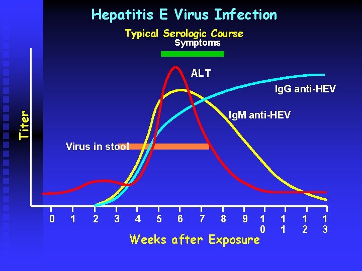 Hepatitis E Virus Infection Typical Serologic Course Symptoms ALT Ig. G anti-HEV Titer Ig.