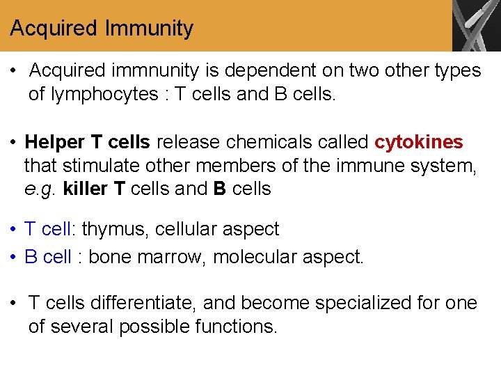 Acquired Immunity • Acquired immnunity is dependent on two other types of lymphocytes :