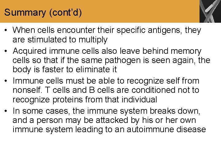 Summary (cont’d) • When cells encounter their specific antigens, they are stimulated to multiply