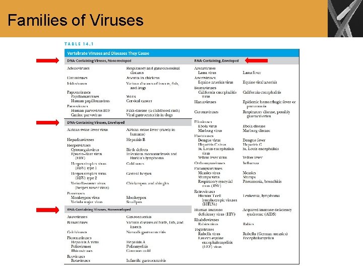 Families of Viruses 