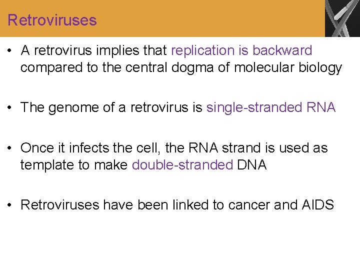Retroviruses • A retrovirus implies that replication is backward compared to the central dogma