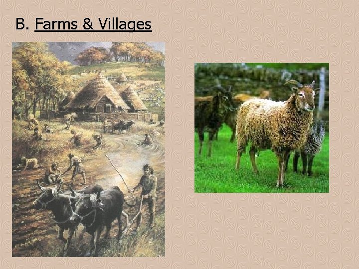 B. Farms & Villages 