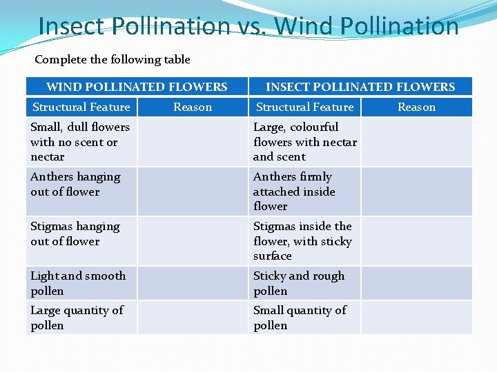 Insect Pollination vs. Wind Pollination Complete the following table WIND POLLINATED FLOWERS Structural Feature