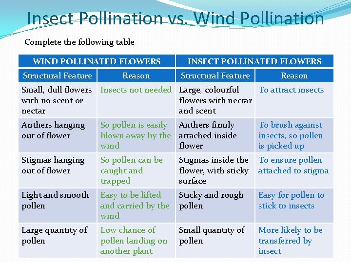 Insect Pollination vs. Wind Pollination Complete the following table WIND POLLINATED FLOWERS Structural Feature