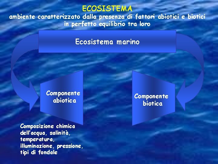ECOSISTEMA ambiente caratterizzato dalla presenza di fattori abiotici e biotici in perfetto equilibrio tra