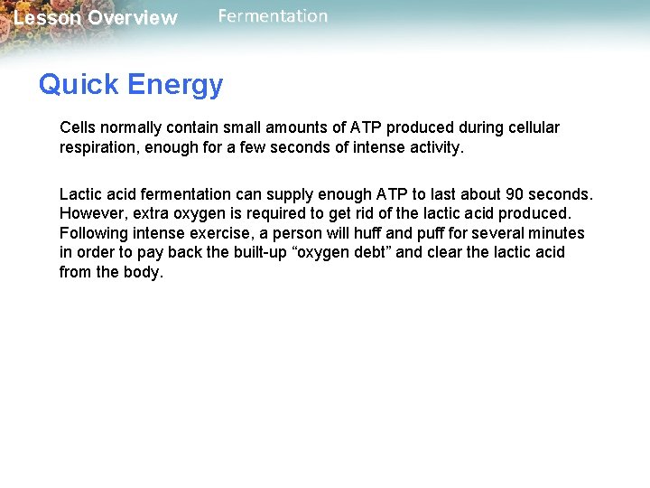 Lesson Overview Fermentation Quick Energy Cells normally contain small amounts of ATP produced during